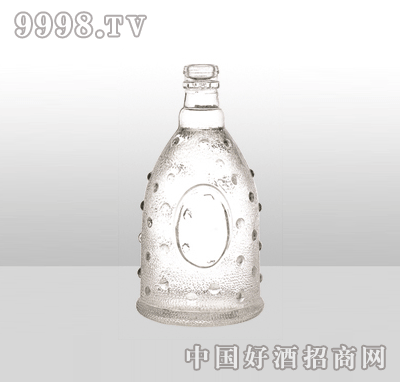 ZH-886߰ײƿ500ml