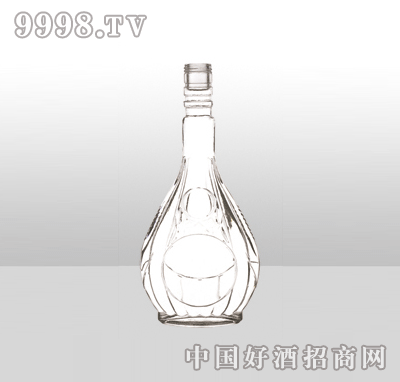 ZH-885߰ײƿ500ml