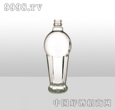 ZH-605߰ײƿ500ml