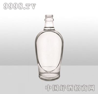 ZH-640߰ײƿ500ml