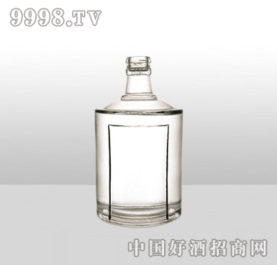 ZH-601߰ײƿ500ml