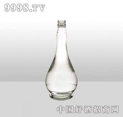 ZH-591߰ײƿ500ml