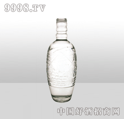 ZH-636-1߰ײƿ500ml