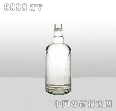 ZH-568-1߰ײƿ500ml