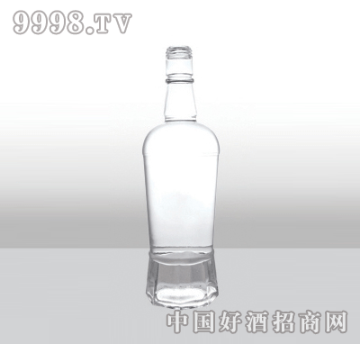 ZH-562߰ײƿ500ml