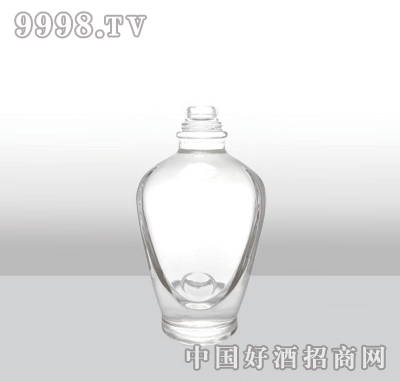 ZH-557߰ײƿ500ml