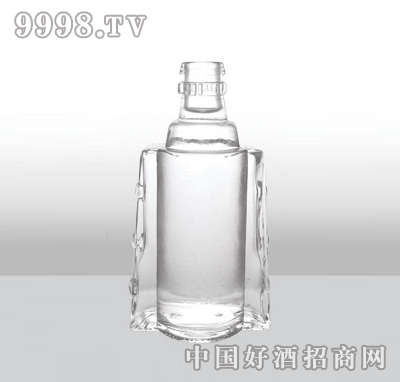 ZH-548߰ײƿ500ml