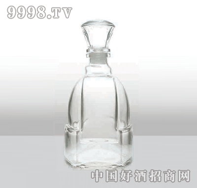 ZH-546߰ײƿ500ml