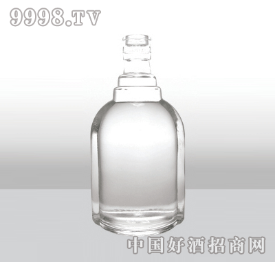 ZH-543߰ײƿ500ml