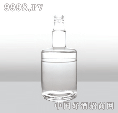 ZH-537߰ײƿ500ml