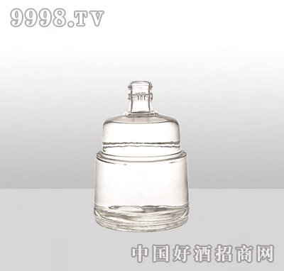 ZH-865߰ײƿ500ml