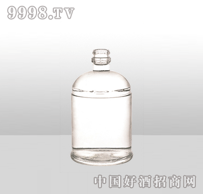 ZH-864߰ײƿ500ml