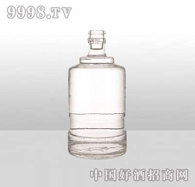 ZH-863߰ײƿ500ml