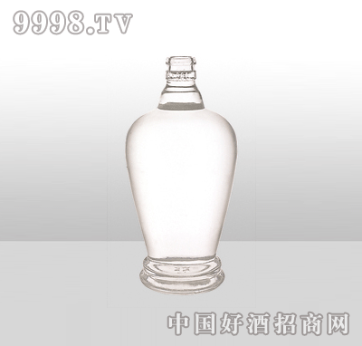 ZH-862߰ײƿ500ml