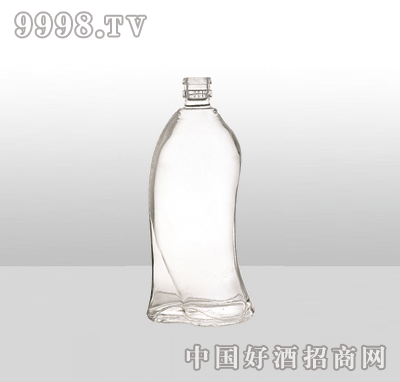 ZH-858߰ײƿ500ml