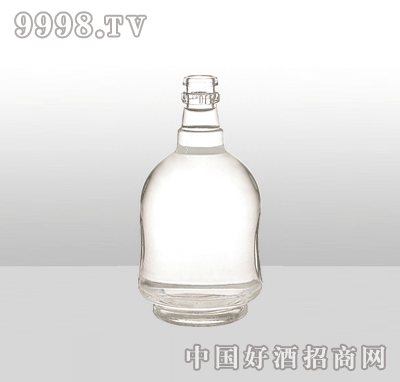 ZH-857߰ײƿ500ml