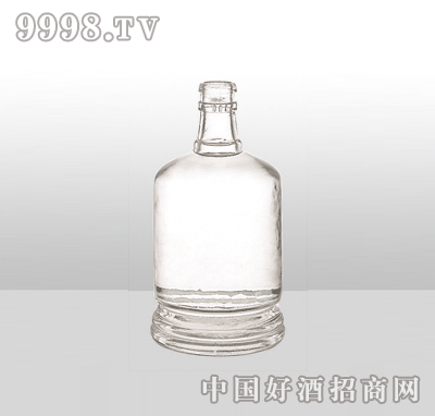 ZH-856߰ײƿ500ml