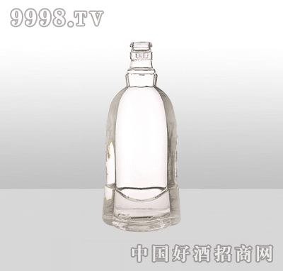 ZH-866߰ײƿ500ml