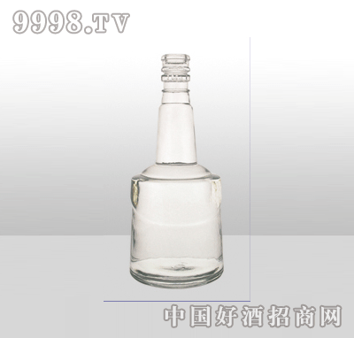 ZH-850߰ײƿ500ml