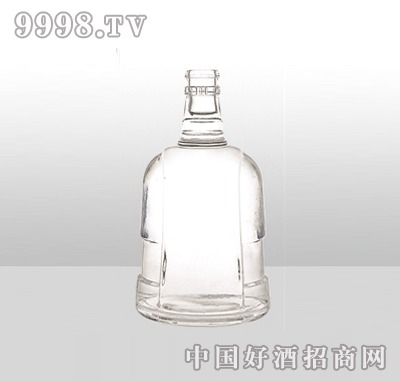 ZH-855߰ײƿ500ml