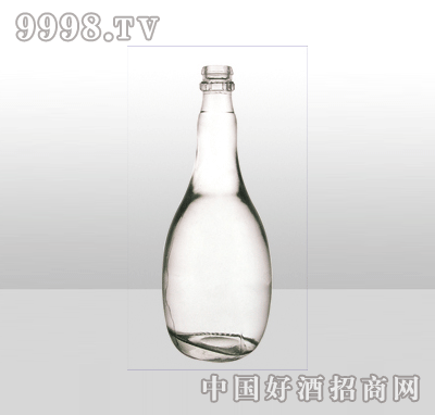 ZH-848߰ײƿ500ml