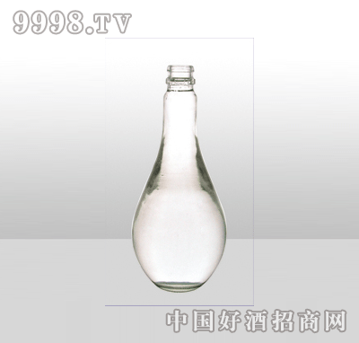 ZH-838߰ײƿ500ml