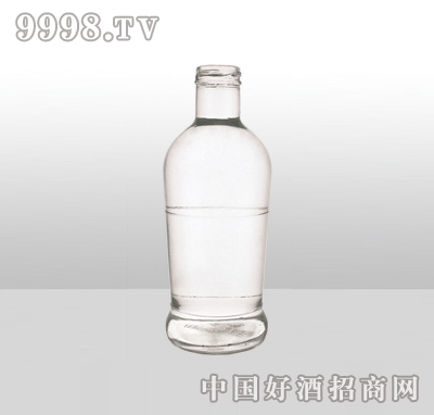 ZH-831߰ײƿ500ml