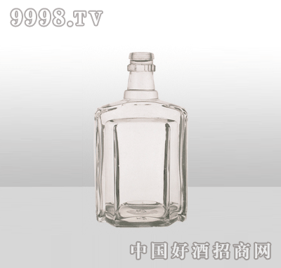 ZH-810߰ײƿ500ml