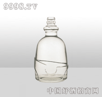 ZH-809߰ײƿ500ml