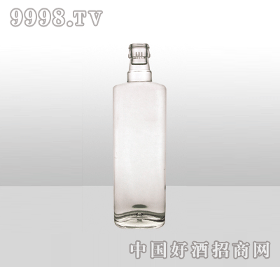 ZH-806-2߰ײƿ450ml