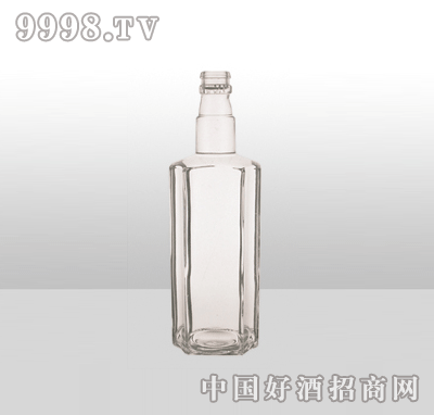 ZH-788-1߰ײƿ500ml