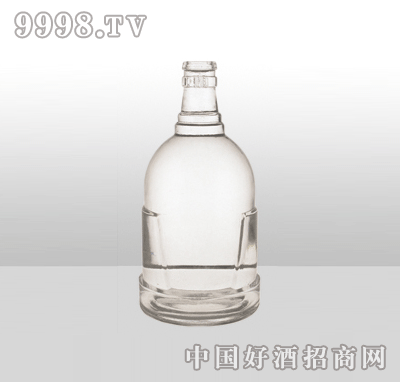 ZH-808߰ײƿ500ml