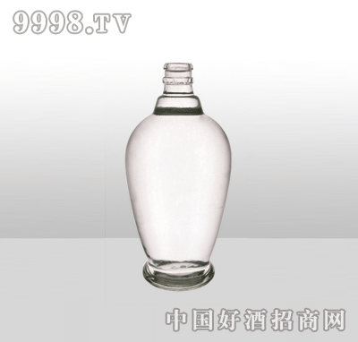 ZH-782߰ײƿ500ml