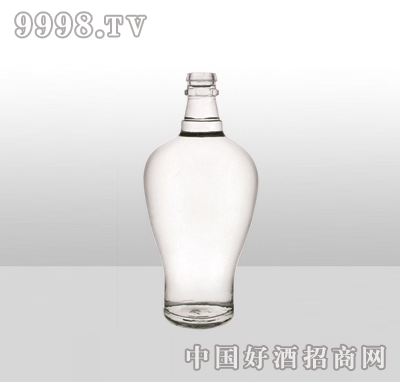 ZH-779߰ײƿ500ml