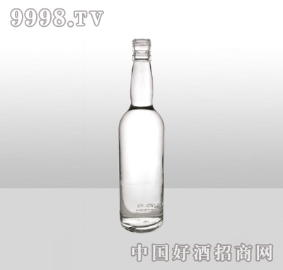 ZH-762߰ײƿ600ml