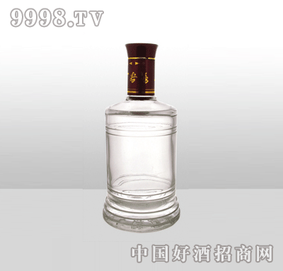 ZH-723-1߰ײƿ600ml