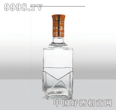 ZH-525߰ײƿ500ml