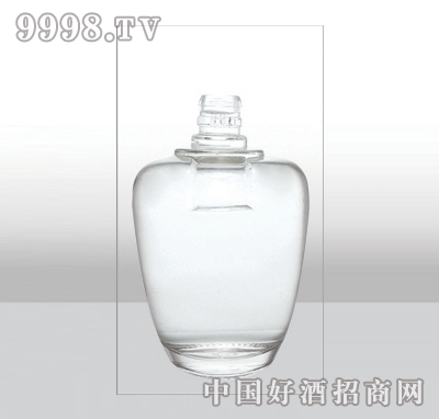 ZH-516߰ײƿ500ml