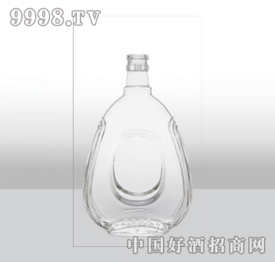 ZH-507߰ײƿ500ml