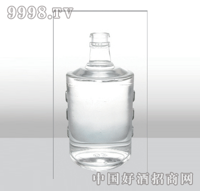 ZH-526߰ײƿ500ml