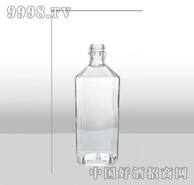 ZH-491-1߰ײƿ250ml