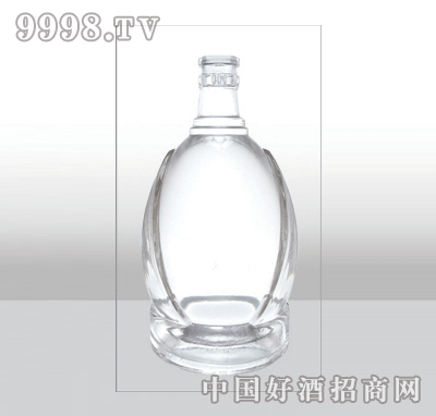 ZH-488߰ײƿ500ml