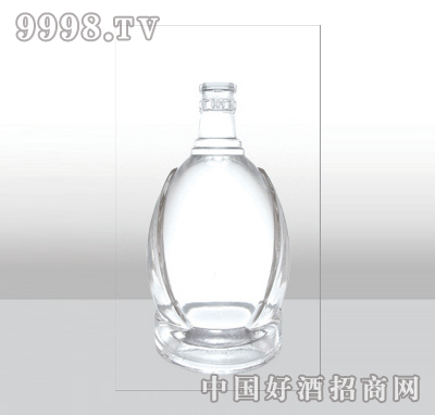 ZH-488-1߰ײƿ480ml