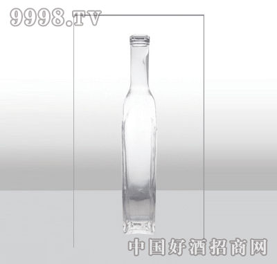 ZH-464߰ײƿ500ml