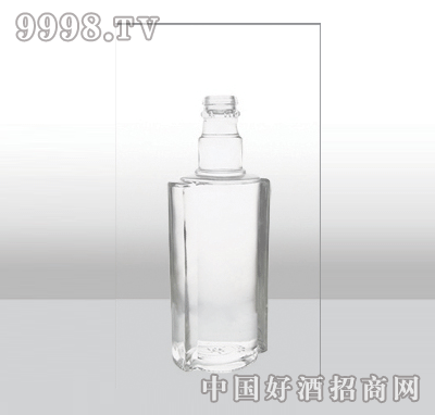 ZH-462-1߰ײƿ250ml