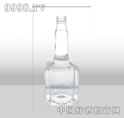 ZH-455߰ײƿ500ml