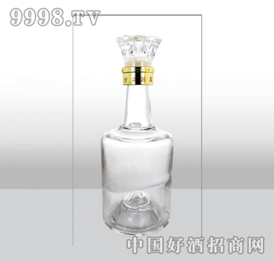 ZH-400߰ײƿ500ml