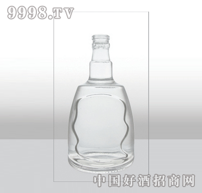 ZH-389߰ײƿ500ml