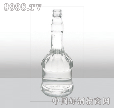 ZH-381߰ײƿ500ml