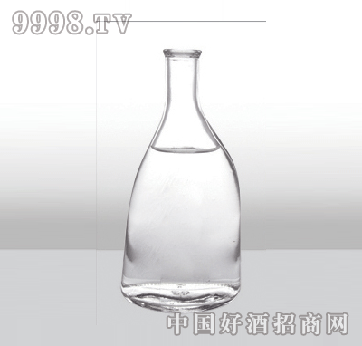 ZH-376߰ײƿ500ml